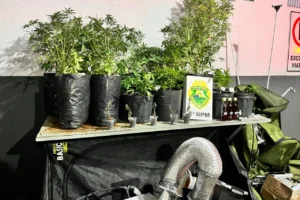 WhatsApp Image 2026-01-13 at 07.18.40 (1)