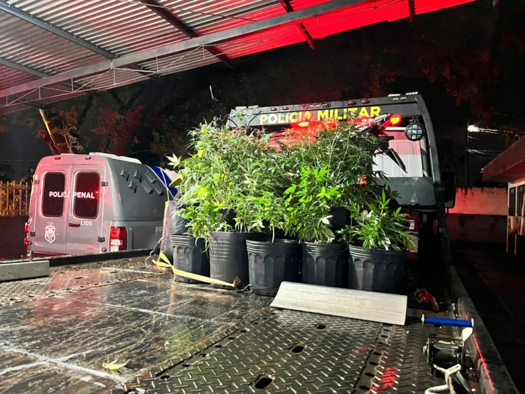 WhatsApp Image 2026-01-13 at 08.25.43