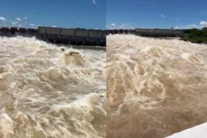 WhatsApp Image 2026-01-15 at 11.43.25