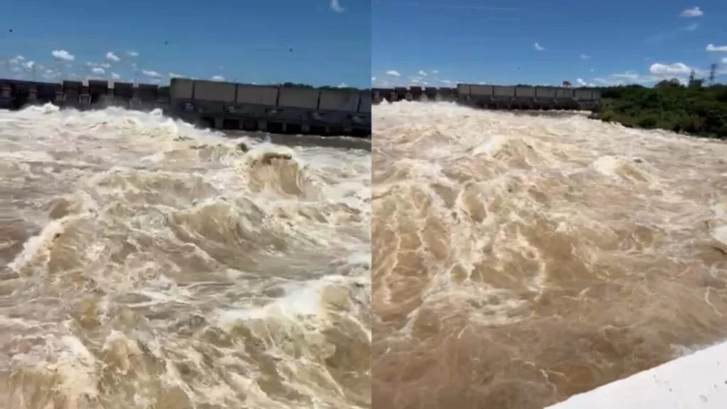 WhatsApp Image 2026-01-15 at 11.43.25