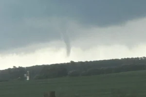 WhatsApp Image 2026-01-15 at 16.11.40