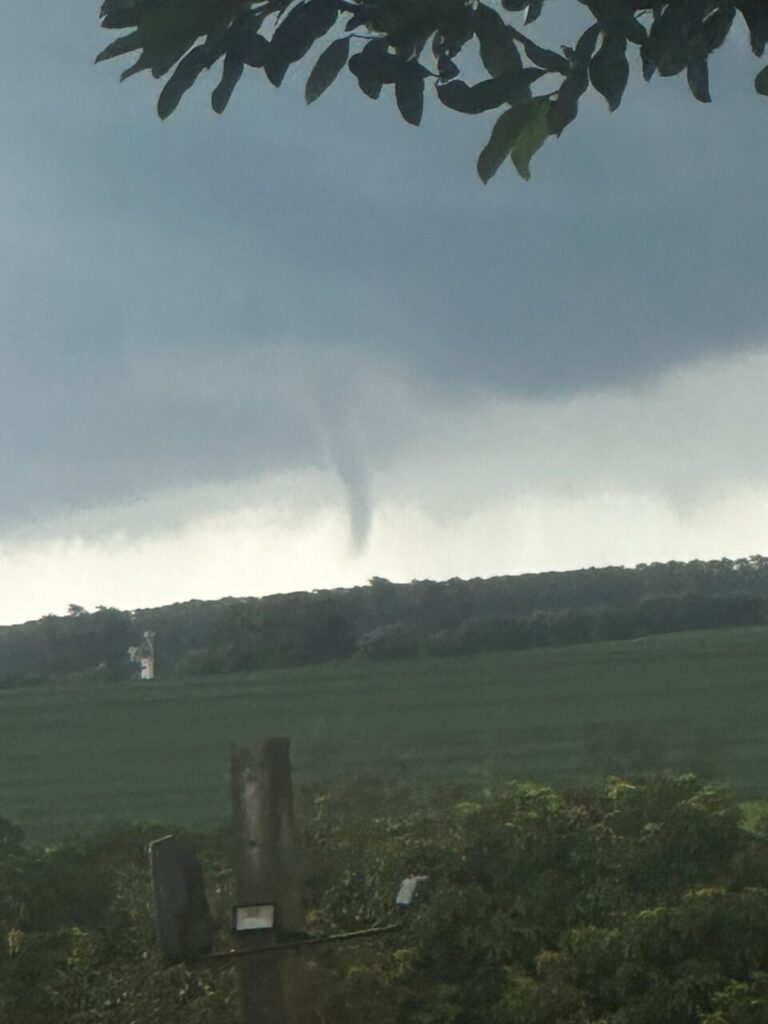 WhatsApp Image 2026-01-15 at 16.11.40