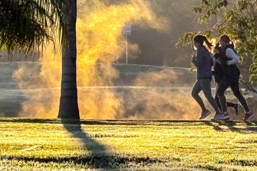 WhatsApp Image 2026-01-16 at 10.20.59