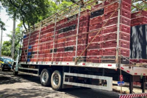 WhatsApp Image 2026-01-17 at 13.52.55