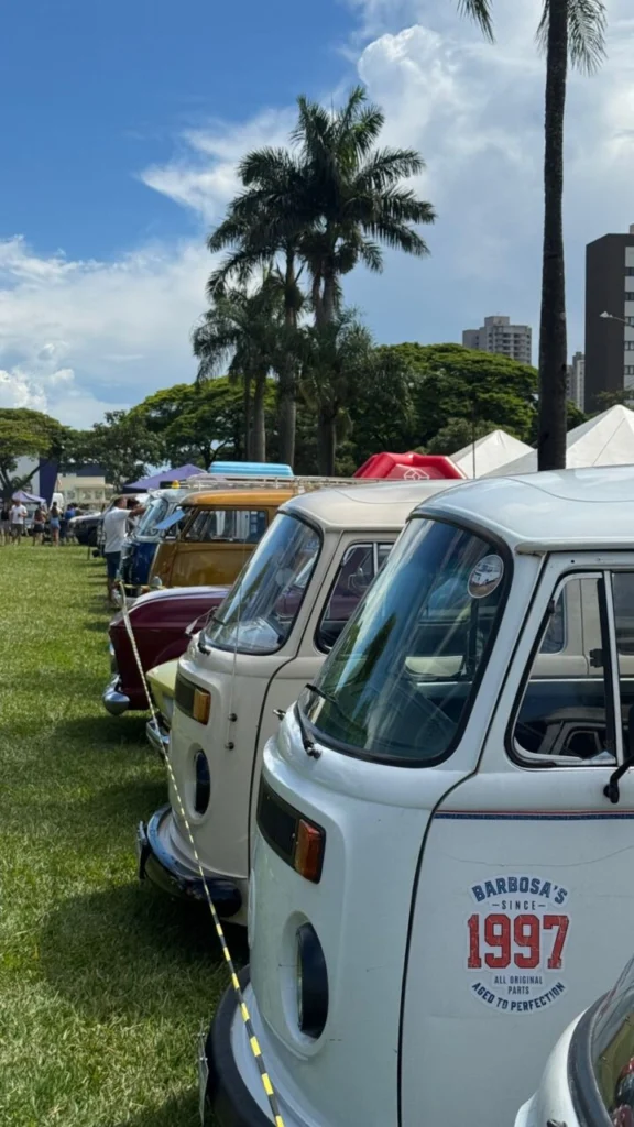 WhatsApp Image 2026-01-17 at 15.31.48