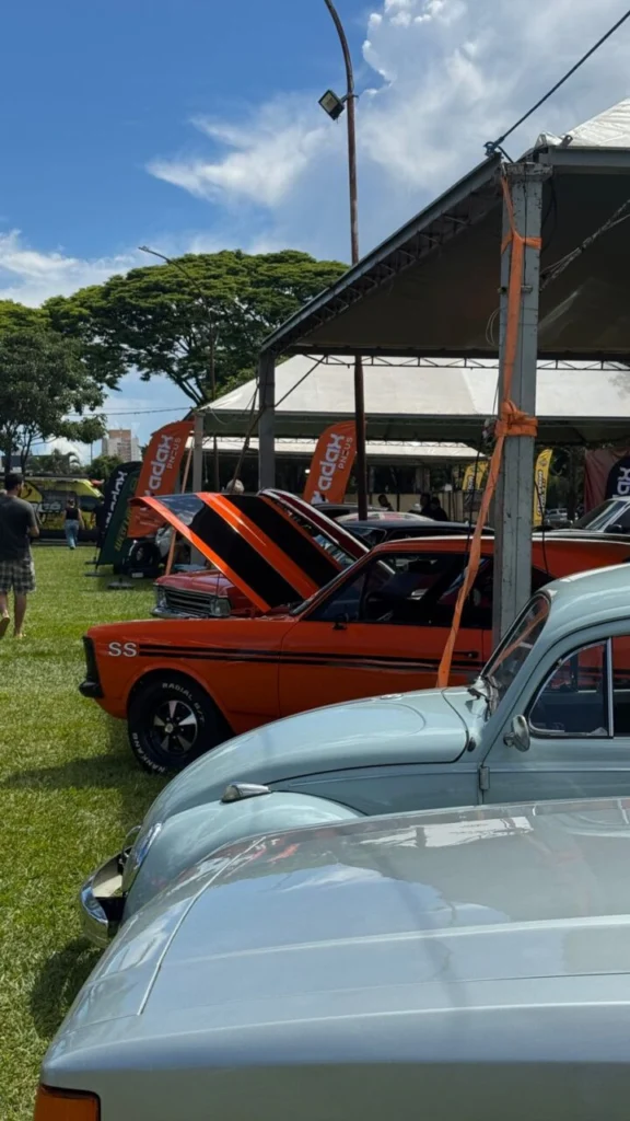 WhatsApp Image 2026-01-17 at 15.31.52