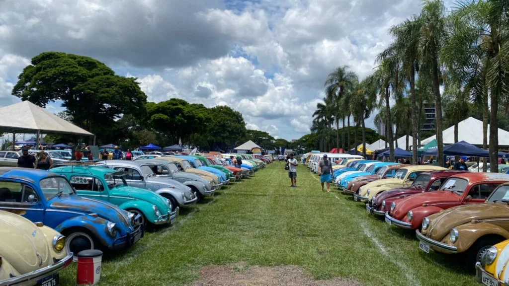 WhatsApp Image 2026-01-17 at 15.39.03