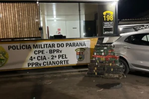 WhatsApp Image 2026-01-21 at 15.36.27 (1)