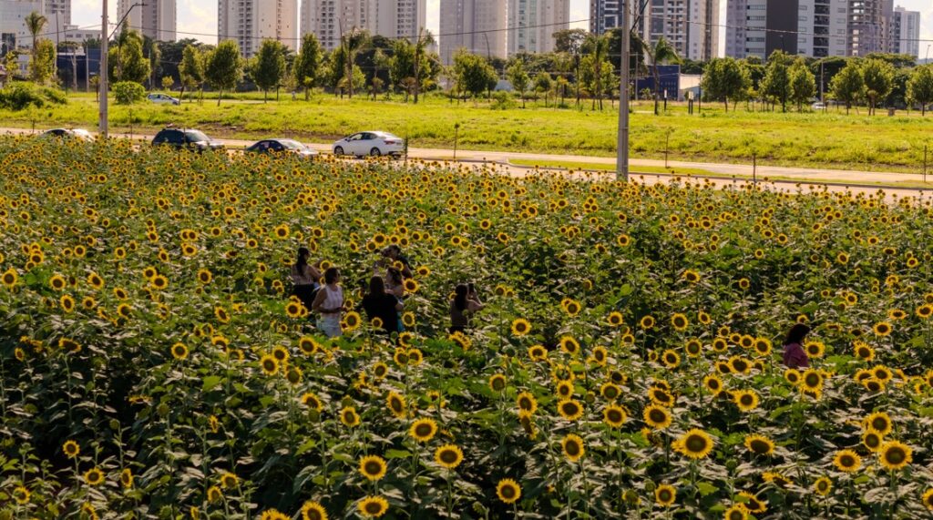 WhatsApp Image 2026-01-22 at 08.34.36 (1)