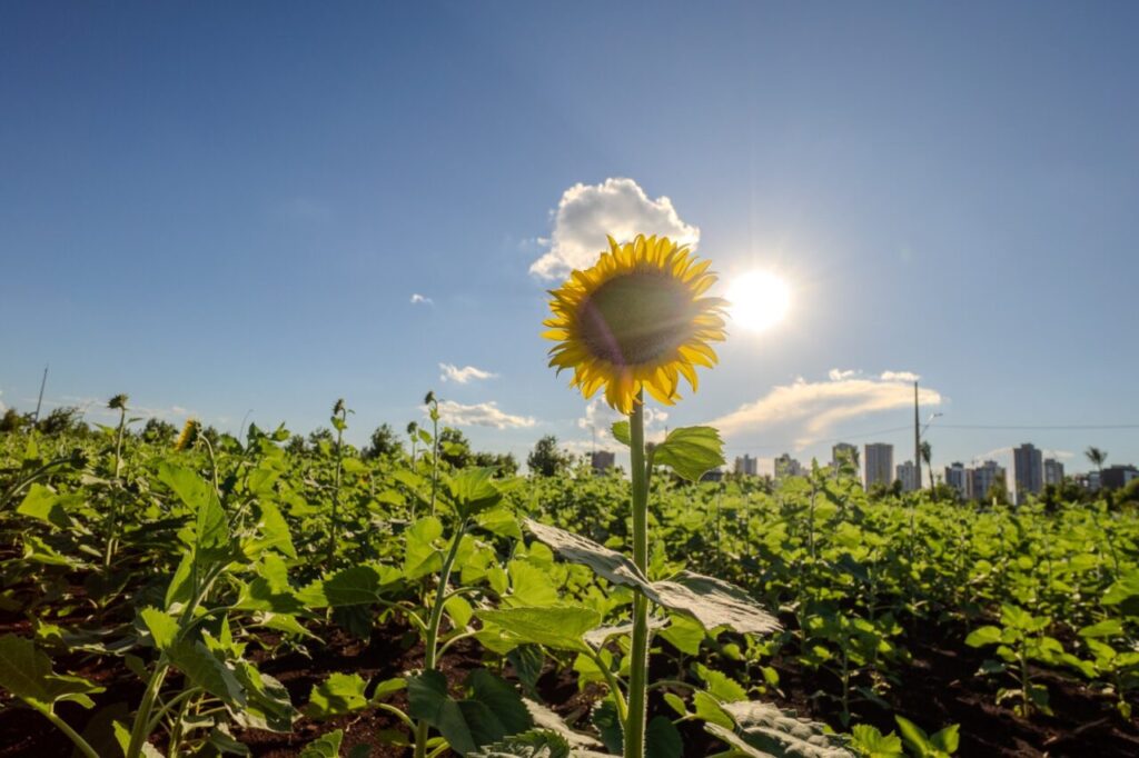 WhatsApp Image 2026-01-22 at 08.34.36