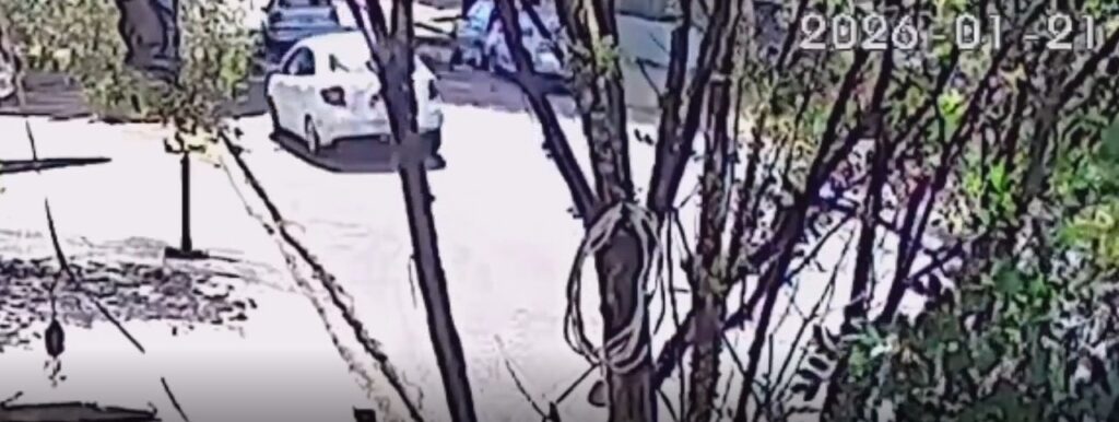 WhatsApp Image 2026-01-22 at 16.36.05 (1)