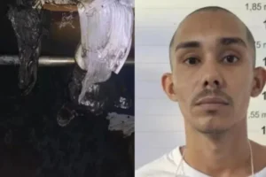 WhatsApp Image 2026-01-27 at 08.18.46