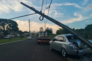 WhatsApp Image 2026-01-27 at 19.08.31