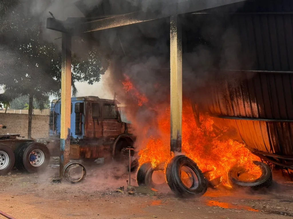 WhatsApp Image 2026-01-30 at 08.19.31 (1)