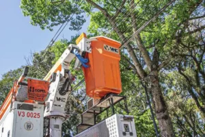 WhatsApp Image 2026-01-30 at 15.50.49