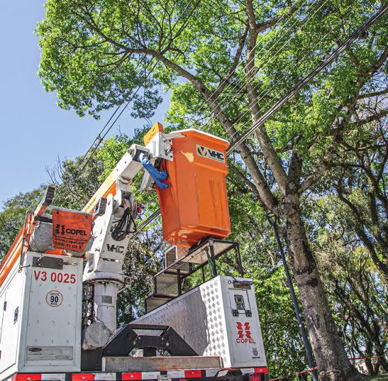 WhatsApp Image 2026-01-30 at 15.50.49