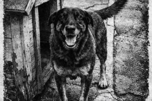 WhatsApp Image 2026-01-30 at 18.02.47 (1)