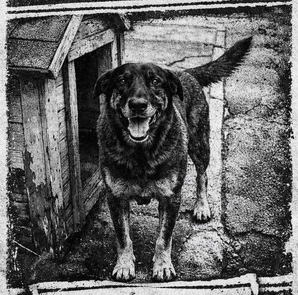 WhatsApp Image 2026-01-30 at 18.02.47 (1)