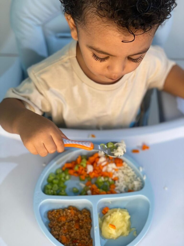 WhatsApp Image 2026-01-31 at 00.33.07