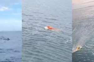 a7f4ed88-fd8e-4c6f-a5b3-9ba833c7b9a6