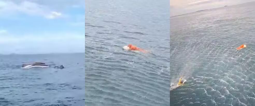 a7f4ed88-fd8e-4c6f-a5b3-9ba833c7b9a6