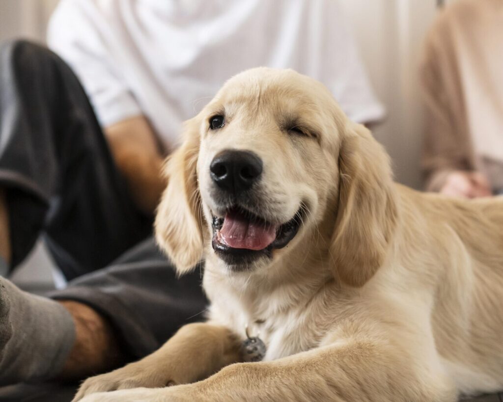 feche-o-homem-e-o-cachorro-dentro-de-casa