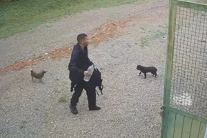 jovem-desaparecido-pico-parana-resgatado-960×592