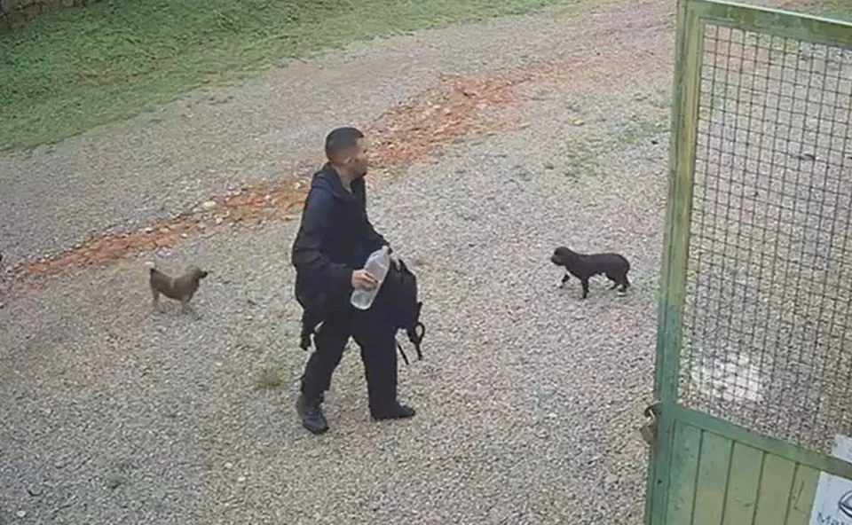 jovem-desaparecido-pico-parana-resgatado-960×592