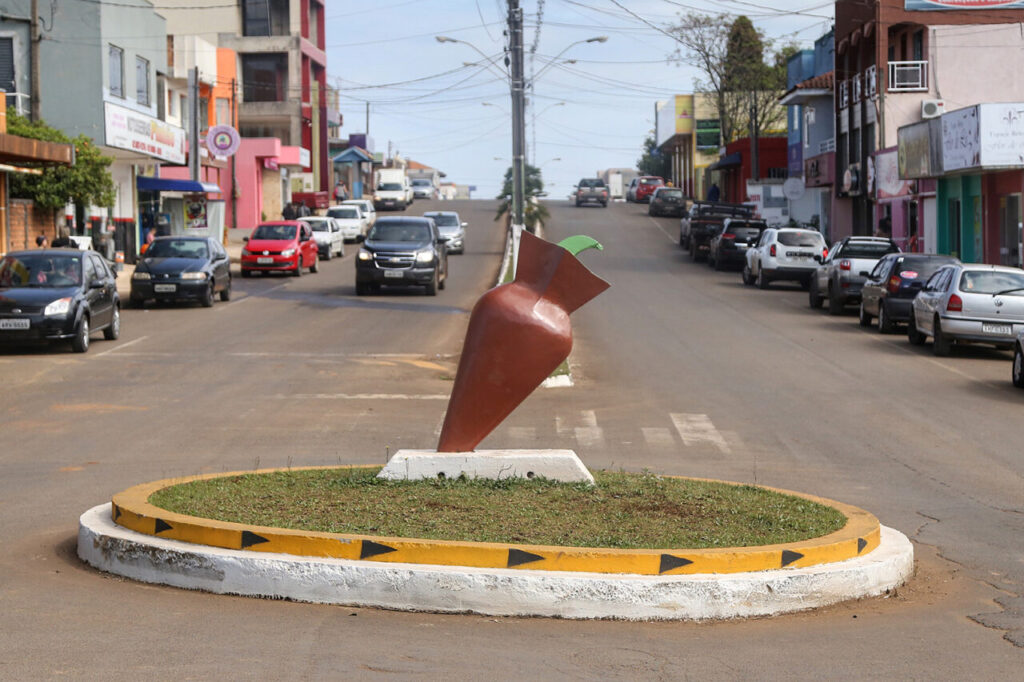 Pinhão. 09/2019. Foto: José Fernando Ogura/AEN