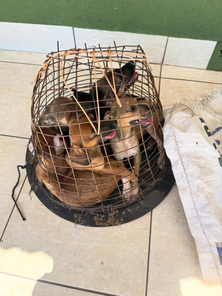 spap_oficial_1767883371_3805604006178406028_37794710310