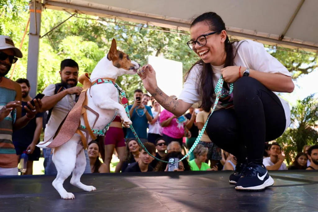 04e128a7-6f38-47e8-aa56-82d5d3057b0e