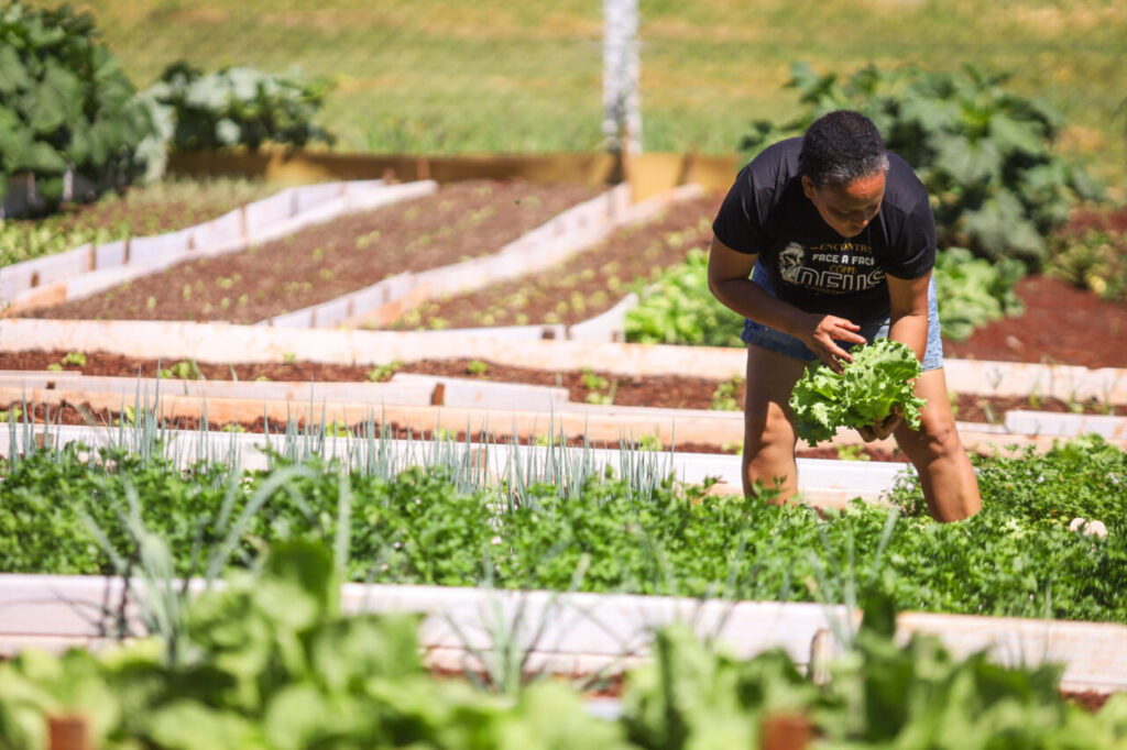 2b997906-4562-4d6c-8a25-2405da44ff63