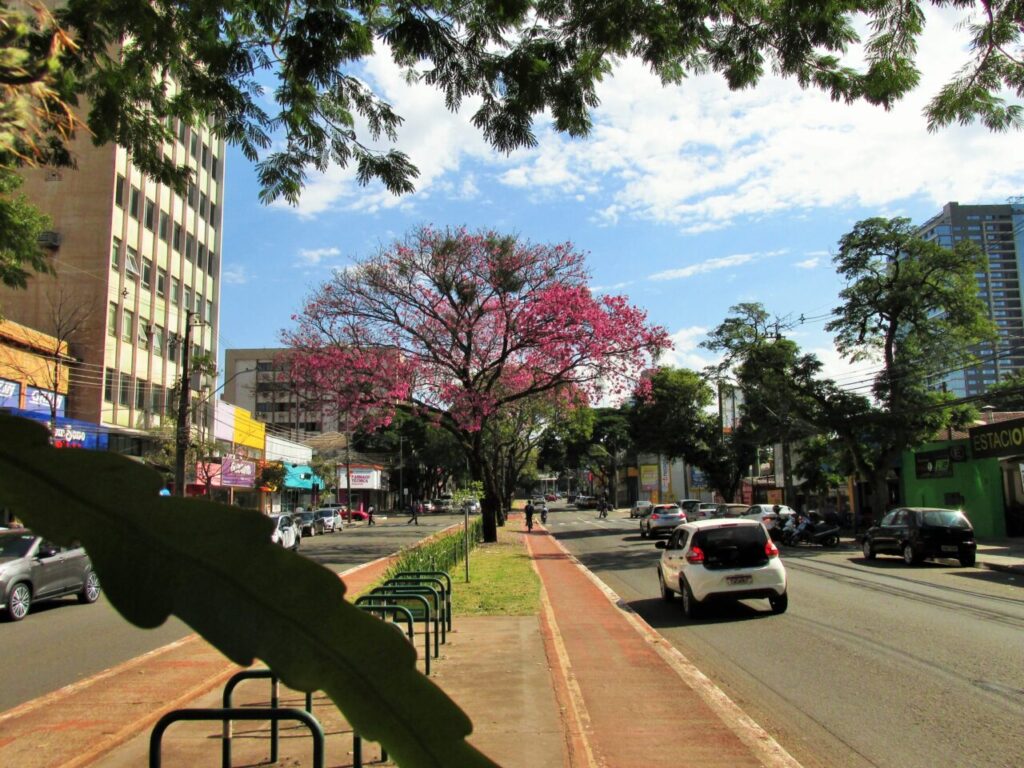 524541900_1079023907666346_1189961251207426122_n