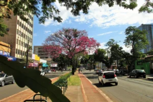 524541900_1079023907666346_1189961251207426122_n