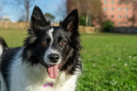 Captura de tela 2026-02-20 100724