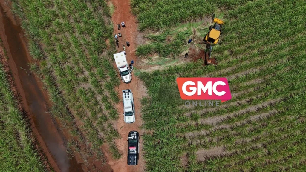 Design sem nome – 2026-02-05T172231.689