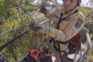 Design sem nome – 2026-02-05T180448.408