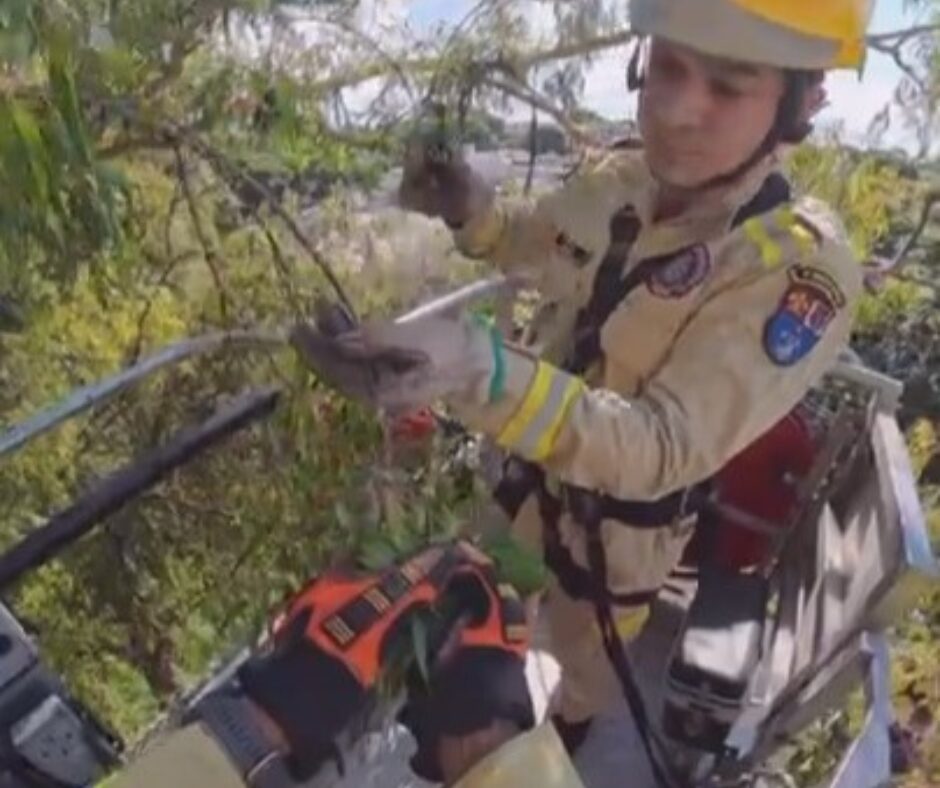 Design sem nome – 2026-02-05T180448.408