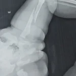 Design sem nome – 2026-02-09T201558.824