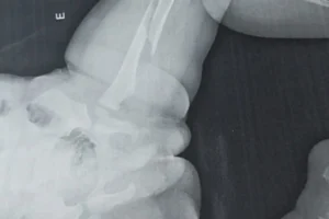 Design sem nome – 2026-02-09T201558.824