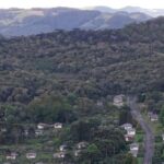 Design sem nome (74)