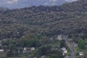 Design sem nome (74)