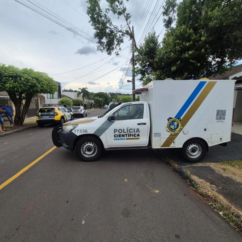 WhatsApp Image 2026-02-02 at 15.35.58