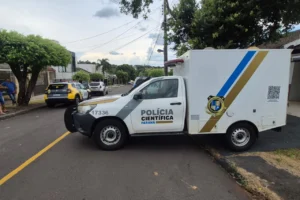 WhatsApp Image 2026-02-02 at 15.35.58