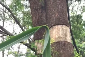 WhatsApp Image 2026-02-02 at 17.26.43