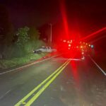 WhatsApp Image 2026-02-03 at 08.34.12