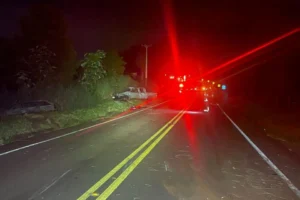 WhatsApp Image 2026-02-03 at 08.34.12