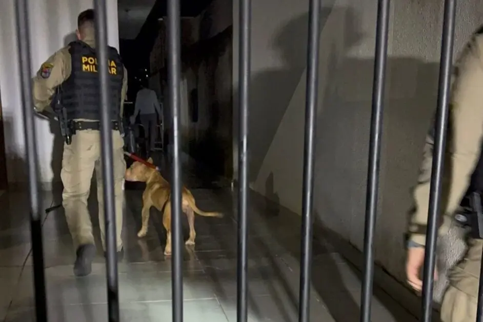 WhatsApp Image 2026-02-04 at 10.12.49