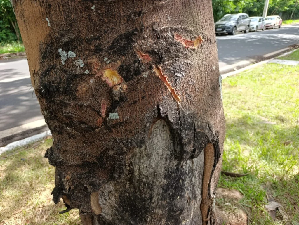 WhatsApp Image 2026-02-04 at 15.42.46