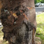 WhatsApp Image 2026-02-04 at 15.42.46